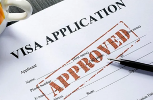Visa Support